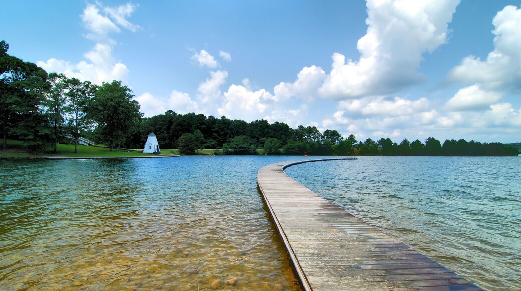 Blue Water of Lake Martin, Alabama