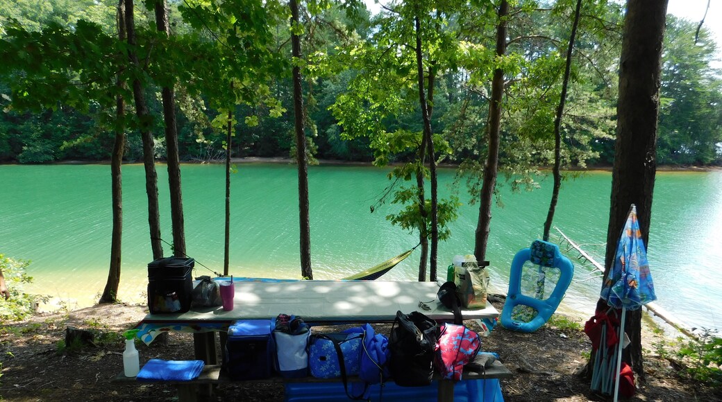 Lake Keowee is a man–made reservoir in the United States in the state of South Carolina. It was created to serve the needs of a power utility as well as public recreational purposes. One of my favorite places to go in the summer. The water really is that color.