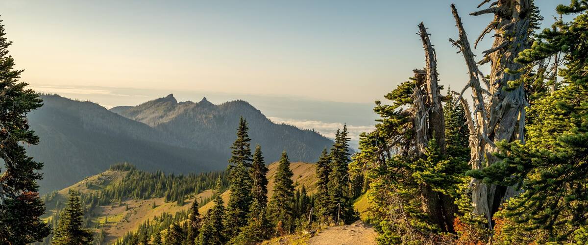Hurricane Ridge featuring tranquil scenes, a sunset and landscape views