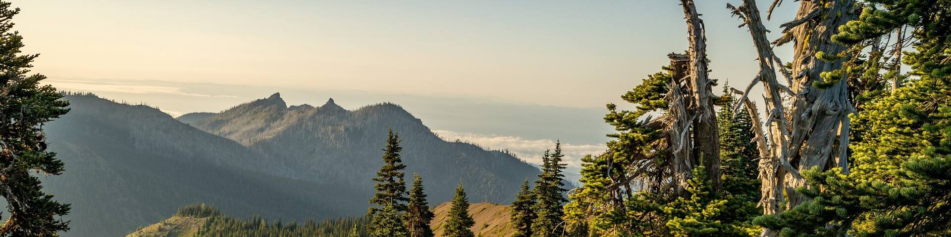 Hurricane Ridge featuring tranquil scenes, a sunset and landscape views