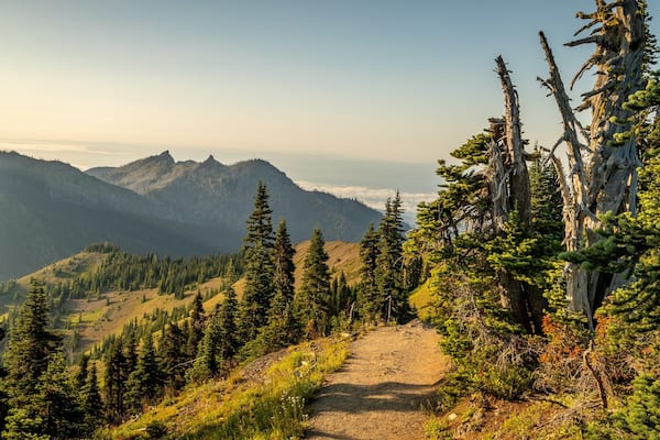 Hurricane Ridge featuring tranquil scenes, a sunset and landscape views