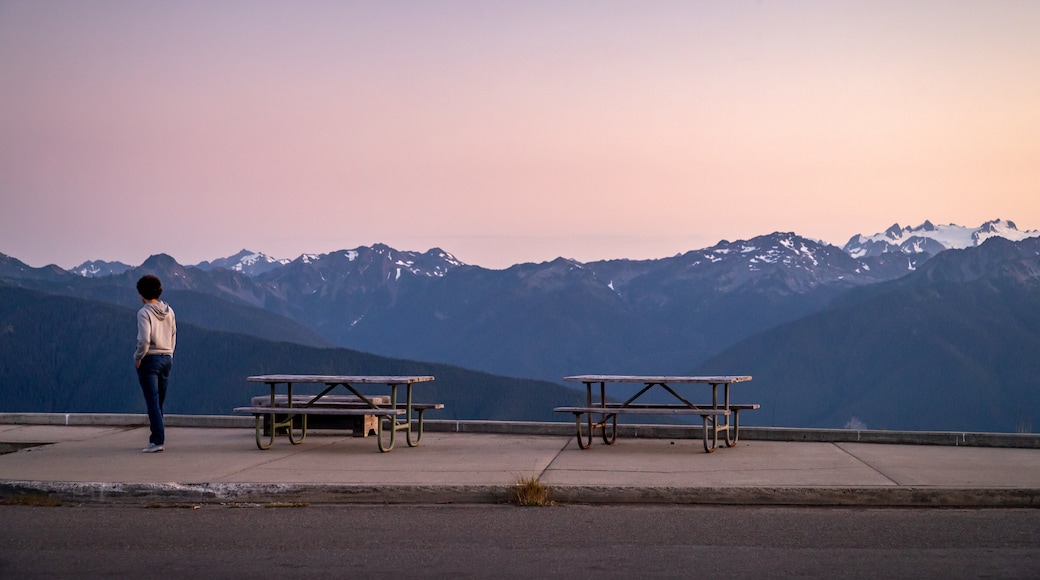 Hurricane Ridge which includes a sunset, tranquil scenes and views