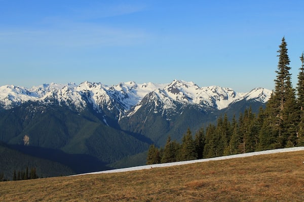 A mountain range with snow-capped peaks, a forested area, and a clear blue sky.