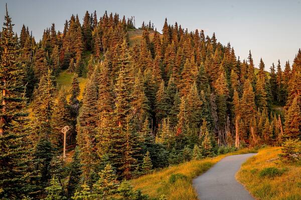 Hurricane Ridge featuring a sunset, tranquil scenes and forest scenes