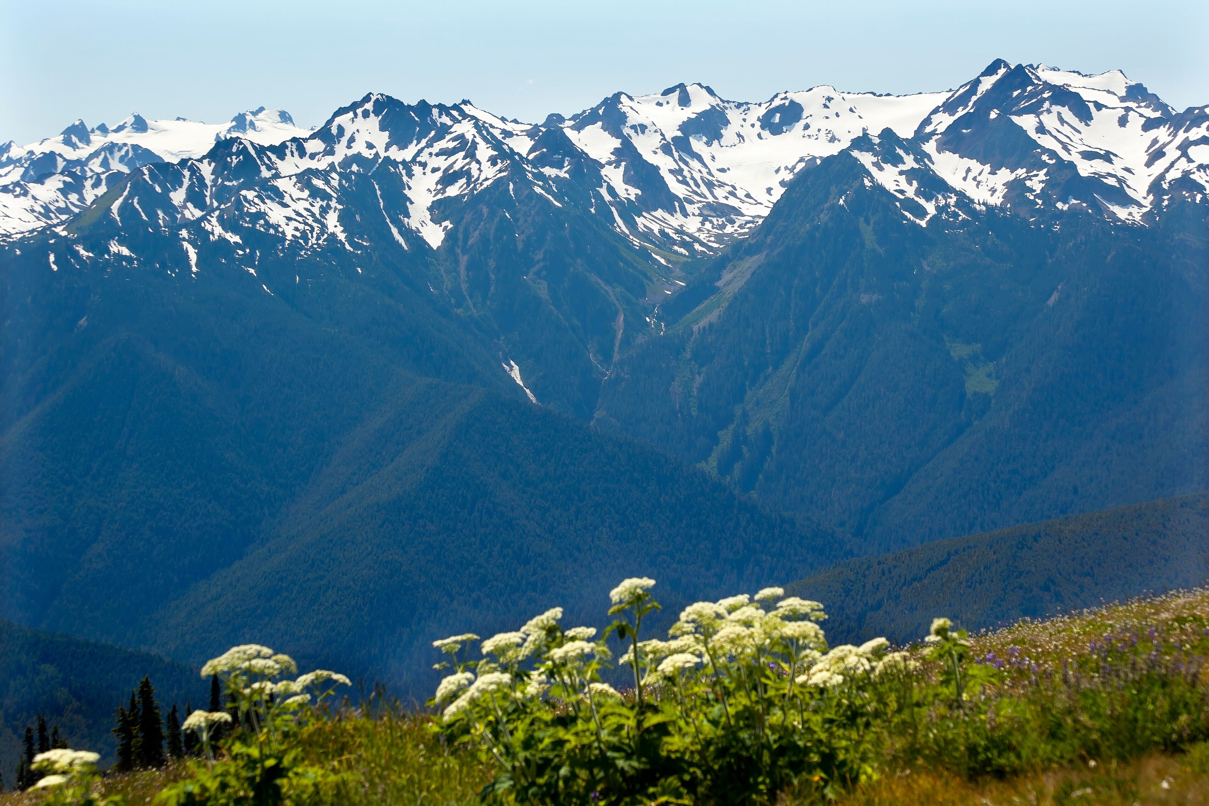 Snow Mountains Hurricane Ridge Olympic National Park Washington