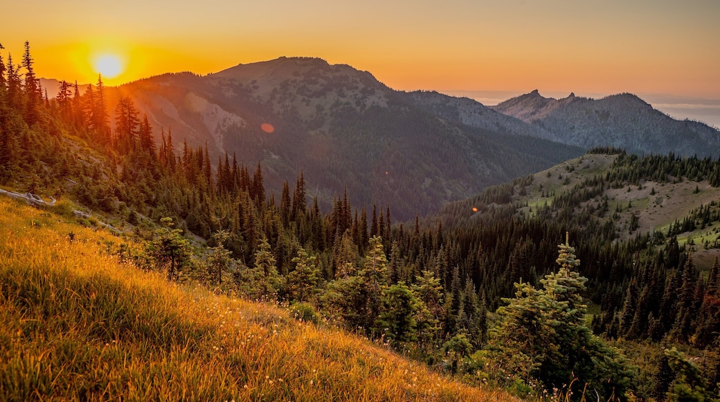 Hurricane Ridge showing landscape views, tranquil scenes and a sunset