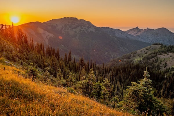 Hurricane Ridge showing landscape views, tranquil scenes and a sunset