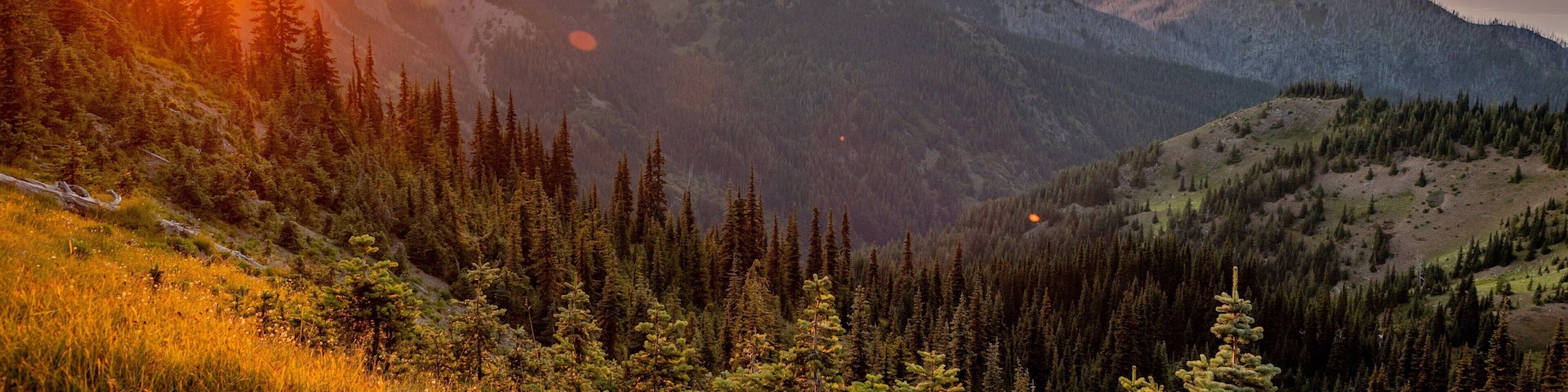 Hurricane Ridge showing landscape views, tranquil scenes and a sunset