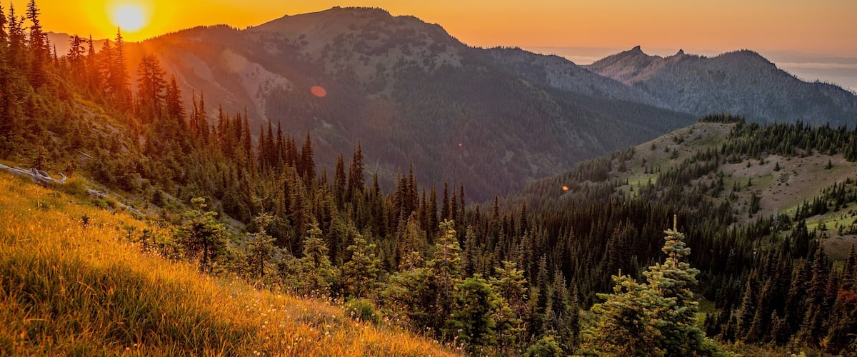 Hurricane Ridge showing landscape views, tranquil scenes and a sunset