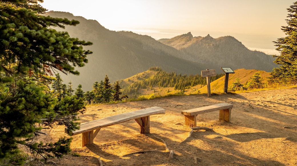 Hurricane Ridge which includes views, landscape views and tranquil scenes