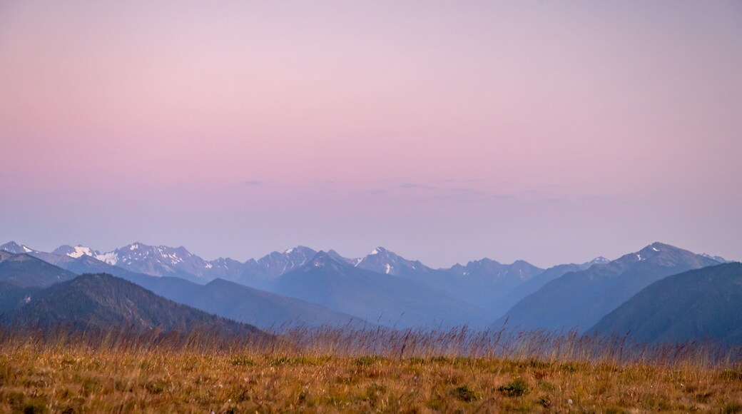 Hurricane Ridge which includes landscape views, tranquil scenes and a sunset