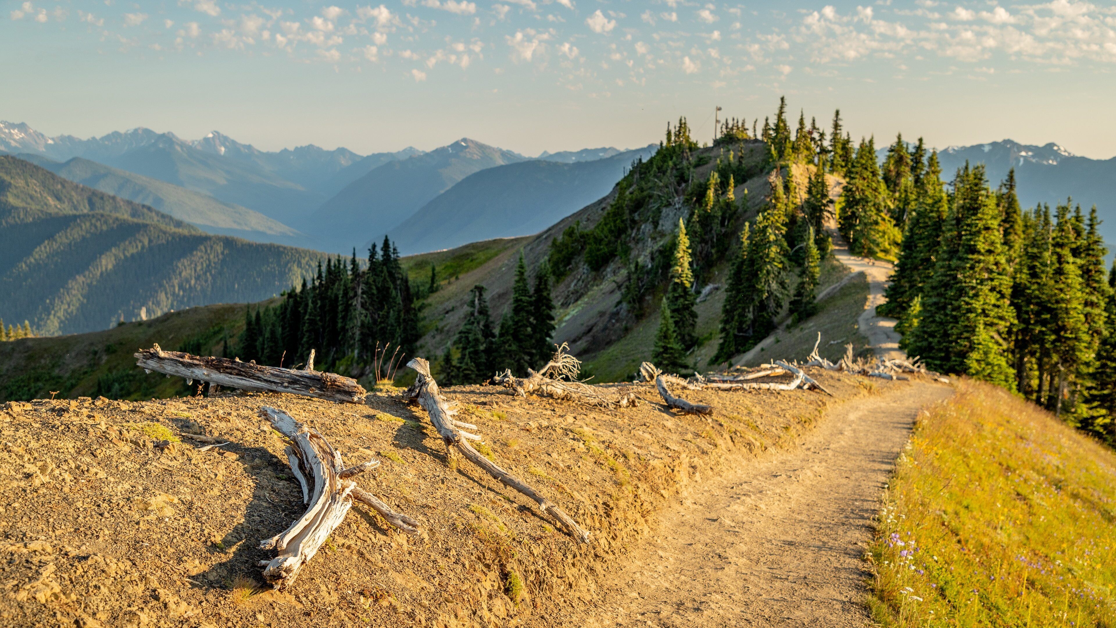 Hurricane Ridge featuring a sunset, tranquil scenes and landscape views