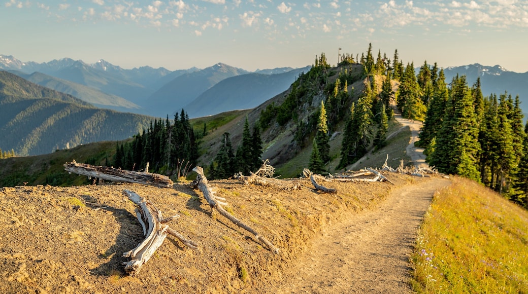Hurricane Ridge featuring a sunset, tranquil scenes and landscape views