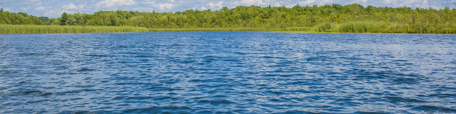 Saratoga Lake Springs Kayak Shak Upstate New York Paddle