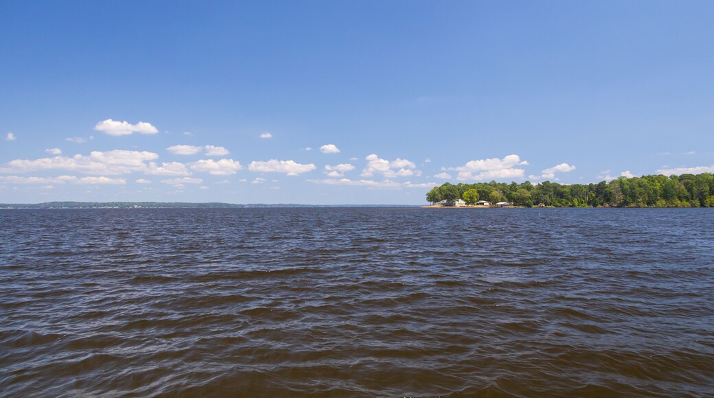 Toledo Bend-Reservoir