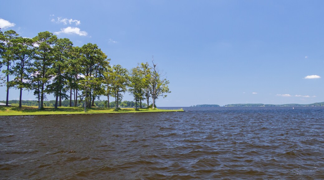 Toledo Bend Reservoir