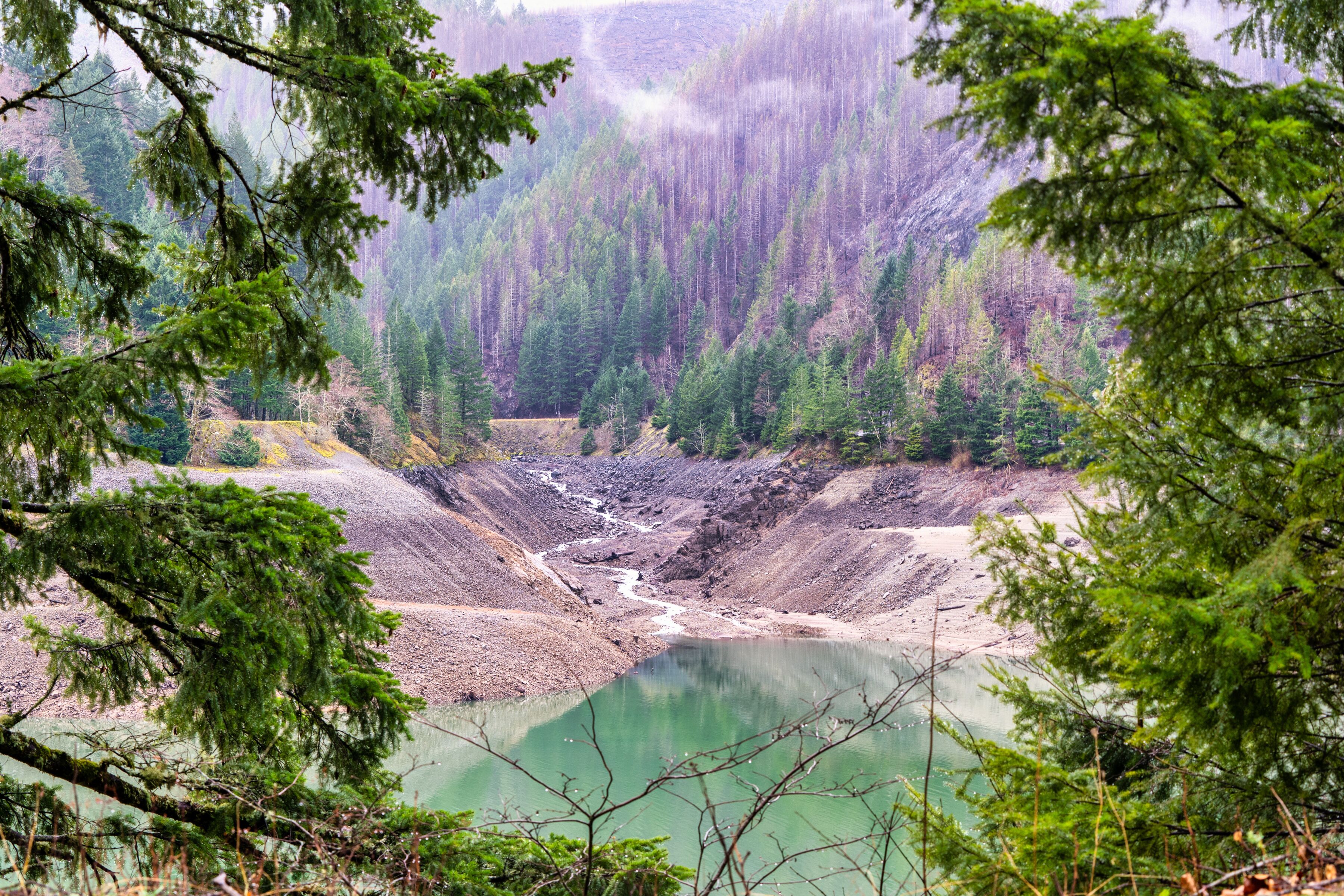 River from glacier in forest flowing into Detroit Lake Oregon