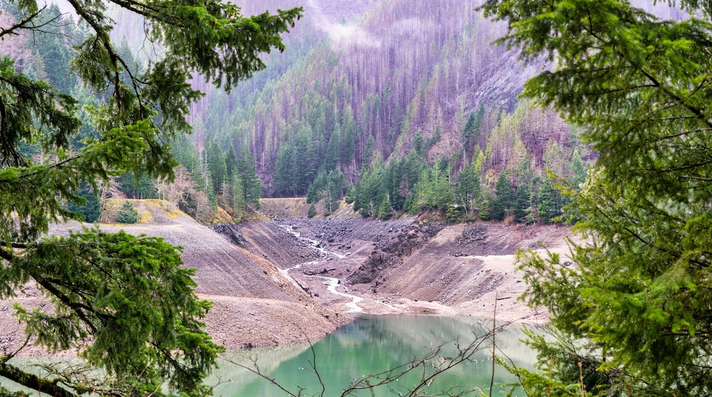River from glacier in forest flowing into Detroit Lake Oregon