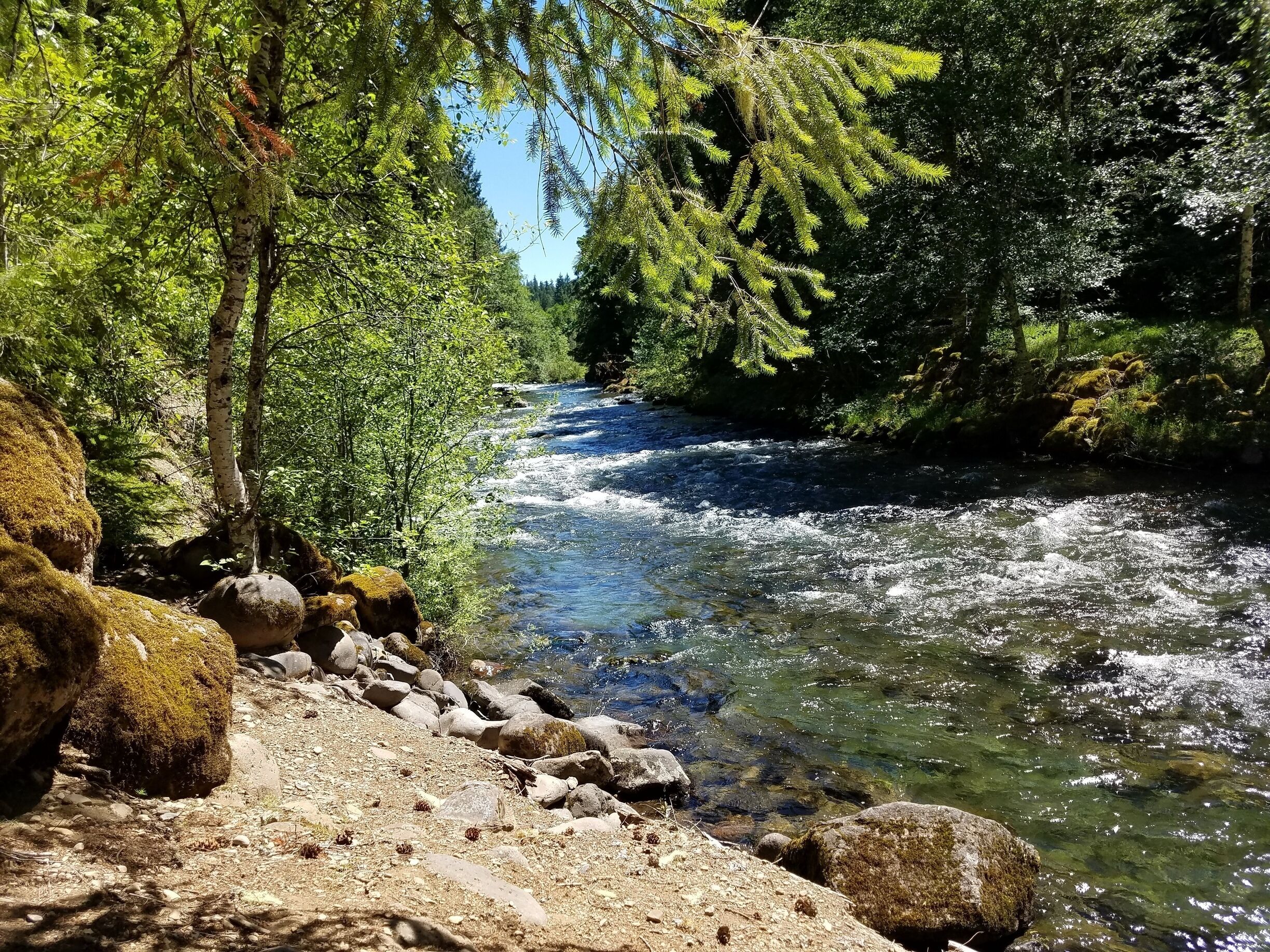 Great camping, off the grid. This is up the mountain,  east of Detroit Lake. 
