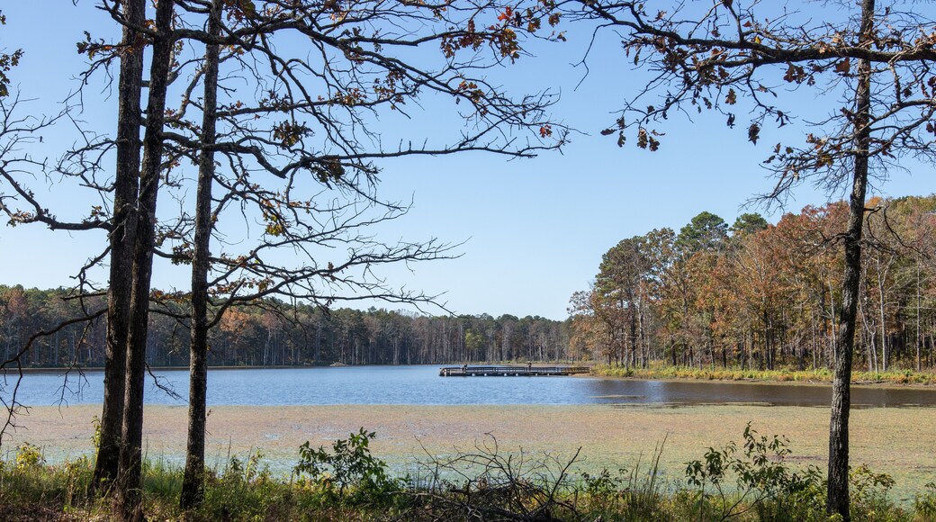 Pinewoods Lake in Mark Twain National Forest with fishing pier and lilly pads