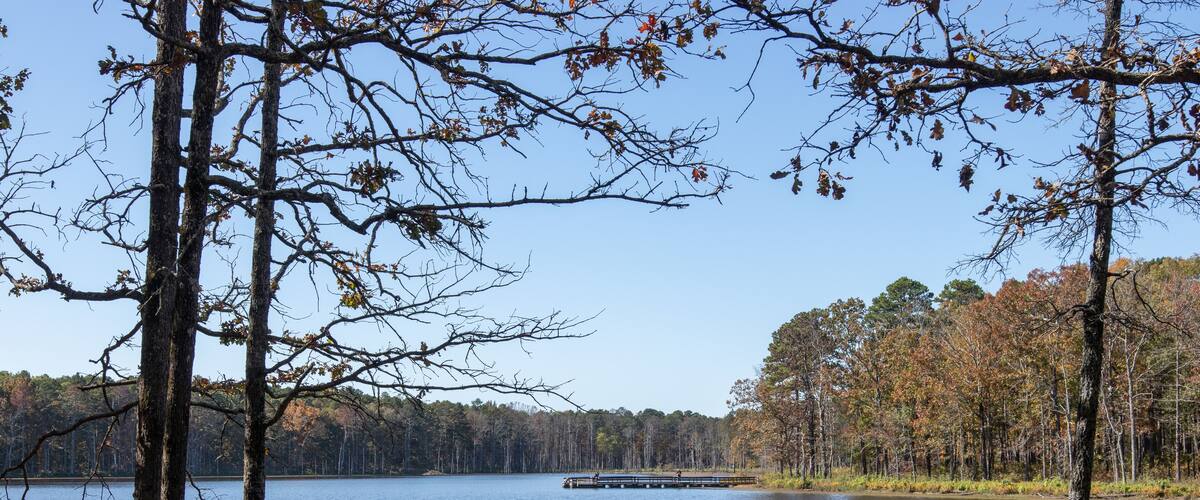 Pinewoods Lake in Mark Twain National Forest with fishing pier and lilly pads