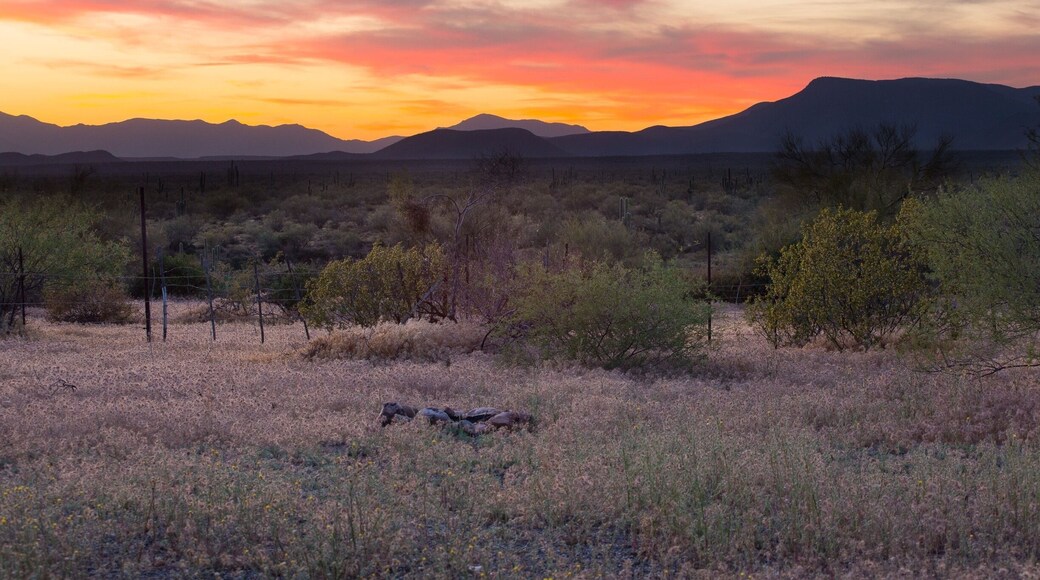 Painted sky of Tonto NF
