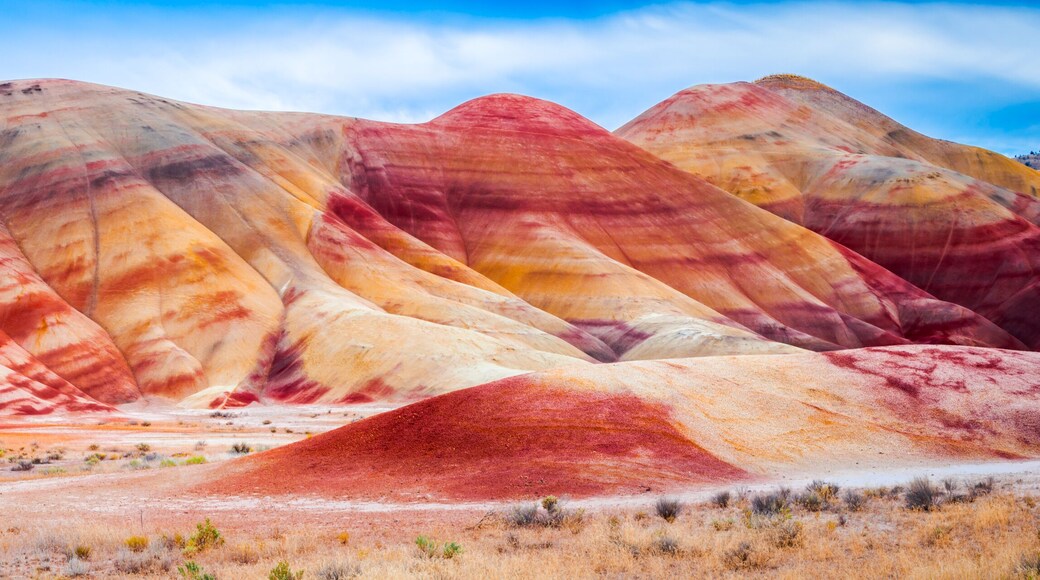 Colorful clay hills in the Painted Hills of Oregon, USA