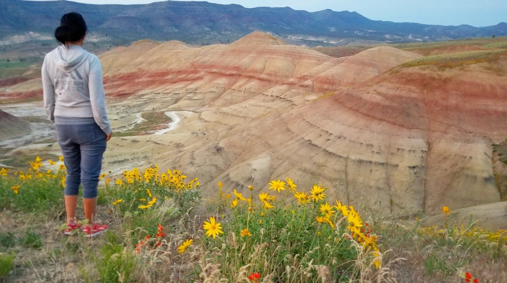 The history is awesome, the sites beautiful, so what else can you ask for? An Oregon Natural Wonder.
#oregon #roadtrip #naturalwonder #hiking