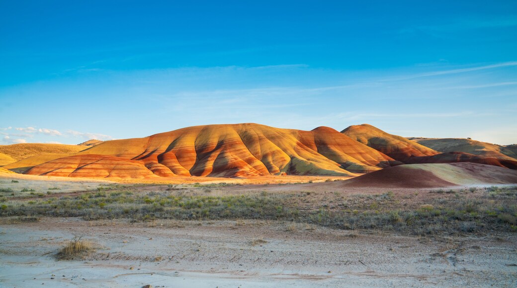 painted hills