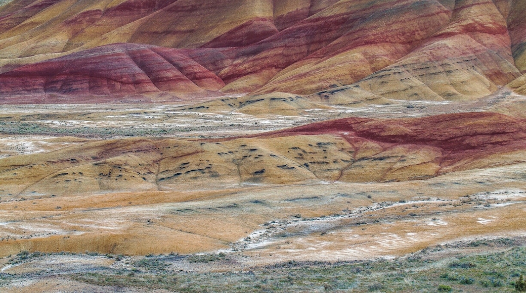 The Painted Hills is one of the three units of the John Day Fossil Beds National Monument, located in Wheeler County, Oregon and is one of the 7 Wonders of Oregon. This is truly a sight everyone should see, millions of years of history revealed in the layers of mountains of earth, one color at a time.