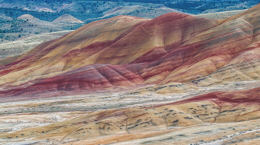 The Painted Hills are one of the "7 Wonders of Oregon". The colorful layers correspond with various geological eras. Layer after layer of colorful soil. Get your hiking shoes on and your camera ready. There is lots to see hear and you won't believe this is real.
#LifeAtExpedia