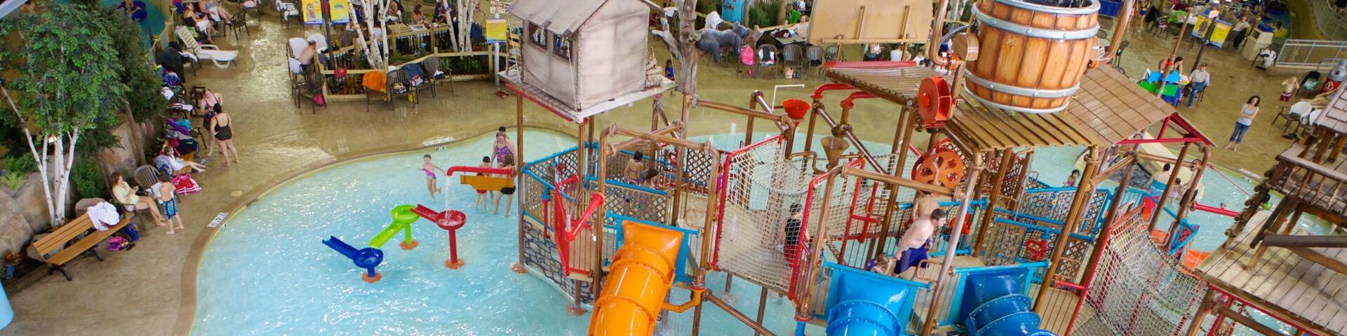 Water Park of America que incluye paseos, una alberca y un parque acuático