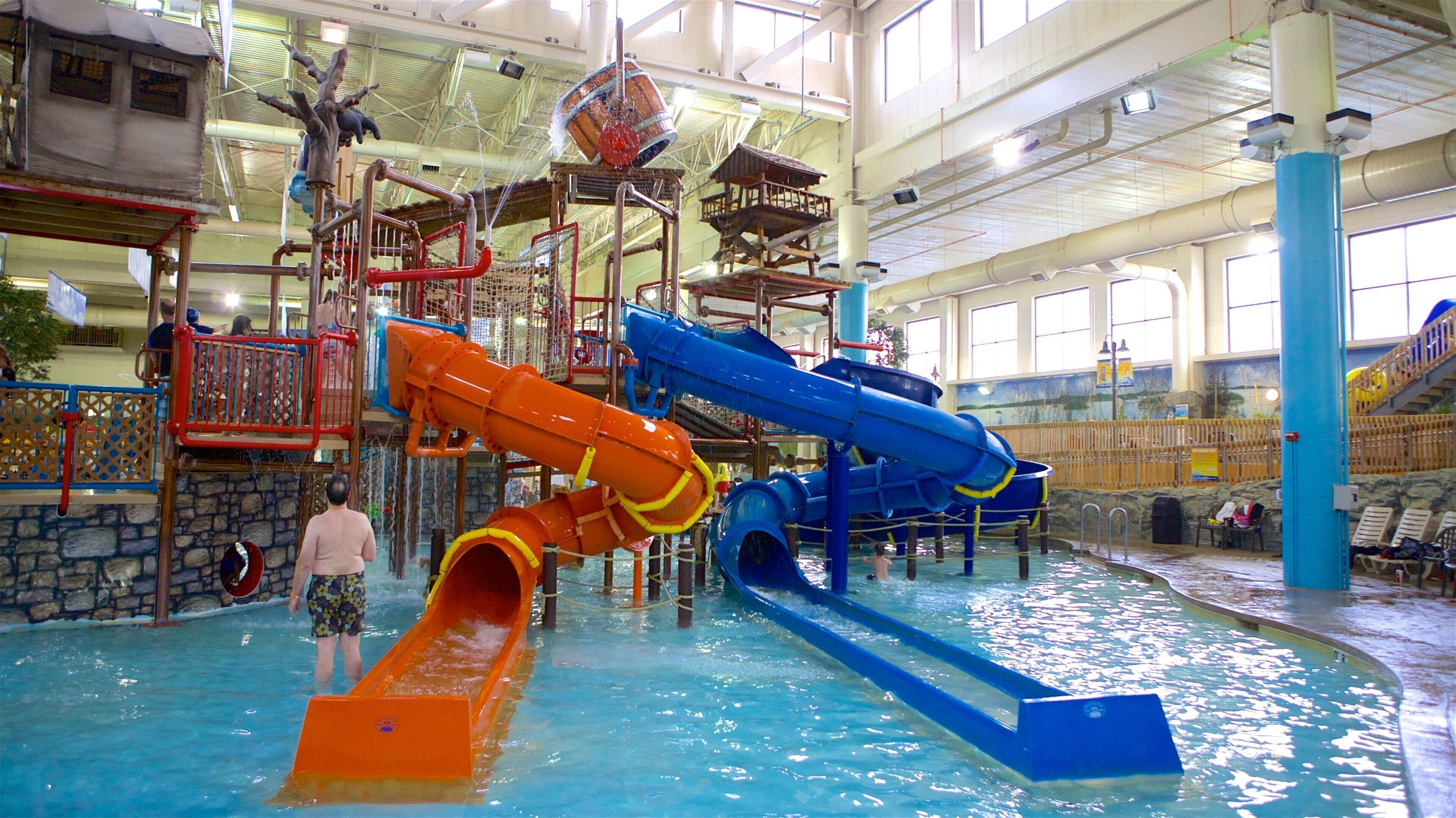 Water Park of America featuring swimming, a pool and a waterpark