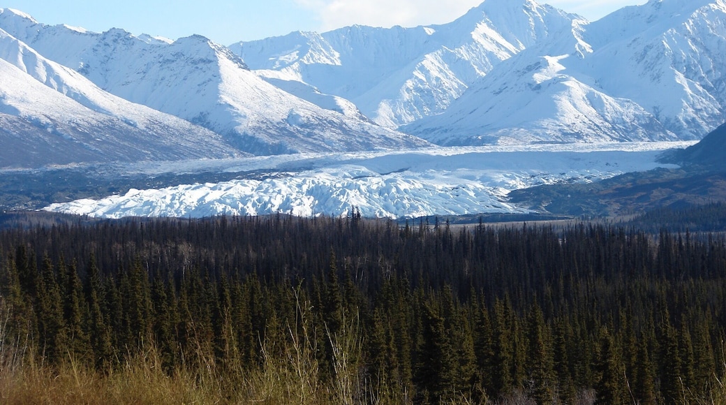 Matanuska glacier is one of the land locked glaciers to the north east of Anchorage. It is awesome to go hiking on the glacier but make sure to have the proper shoes! I got out a little far and had to slide back close to the ground!