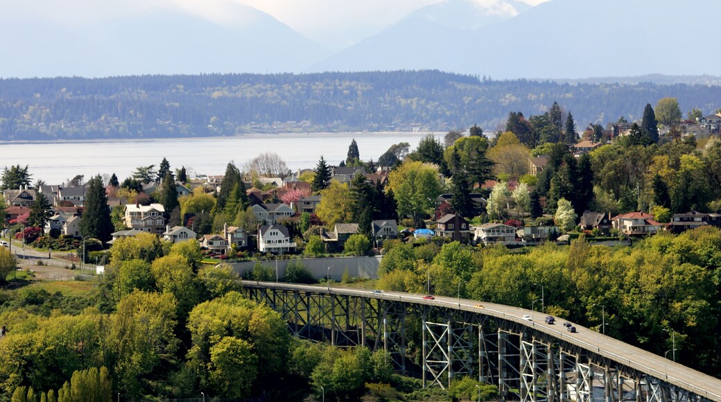 View of Seattle suburbs with Olympic Mountains on background; Shutterstock ID 3146837