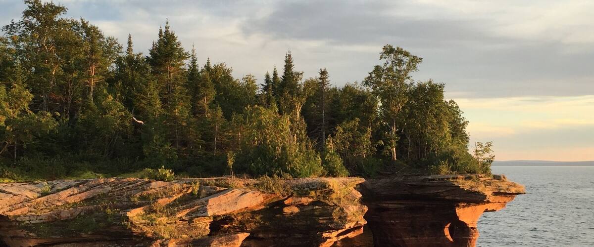 A rocky shoreline with a forested area in the background.