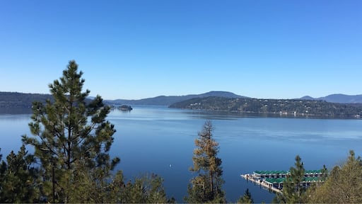 Sparkling blue Lake Coeur d'Alene. A lovely area indeed.
#Idaho #nature
(May 2017)