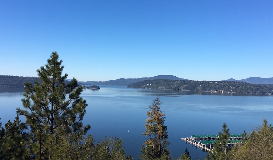 Sparkling blue Lake Coeur d'Alene. A lovely area indeed.
#Idaho #nature
(May 2017)