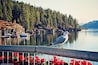 A seagull on a dock with red flowers in the foreground, a calm lake, and a forested hillside in the background.
