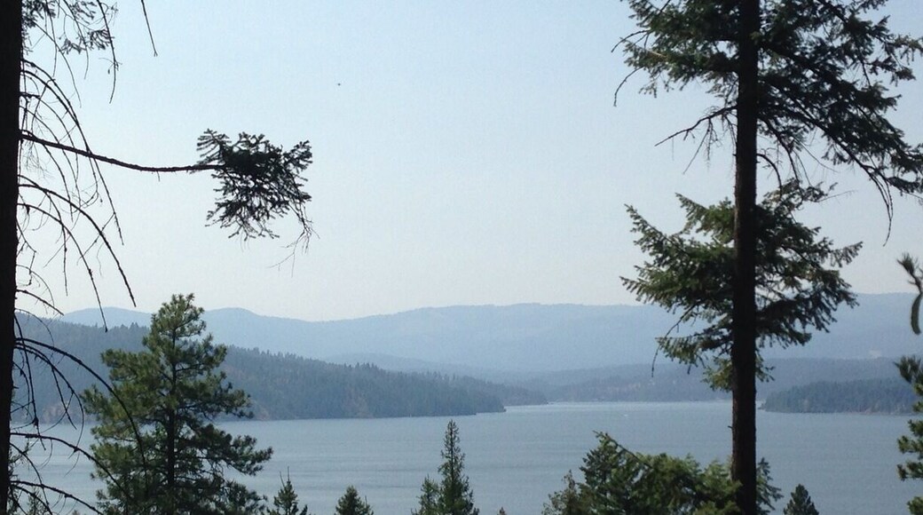 Overlooking Lake Coeur d'Alene