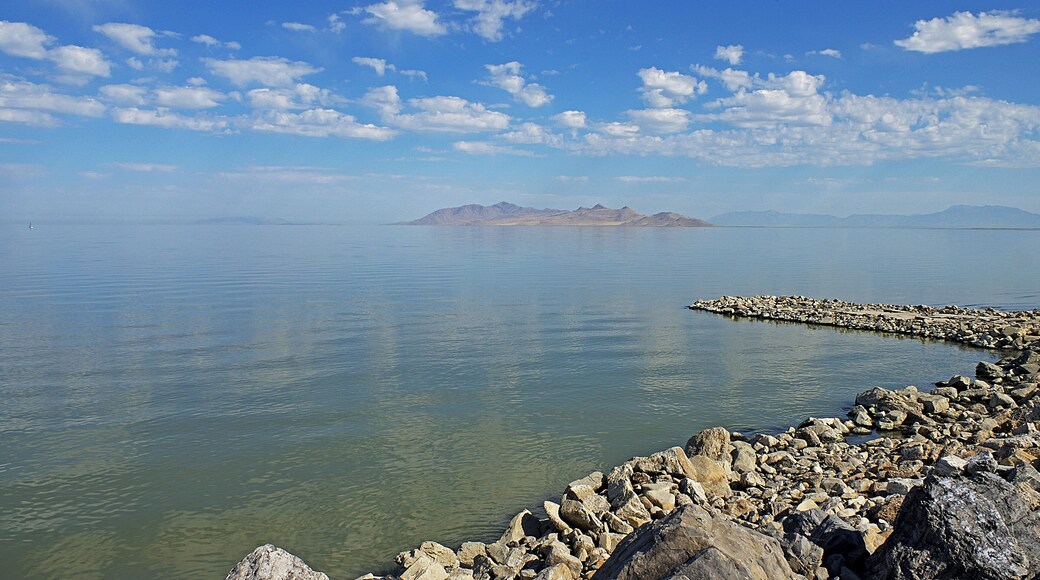 Depending on the level of the lake salt content can vary from 5% (approximately sea water) to 27% (the point at which water can not hold any more salt).