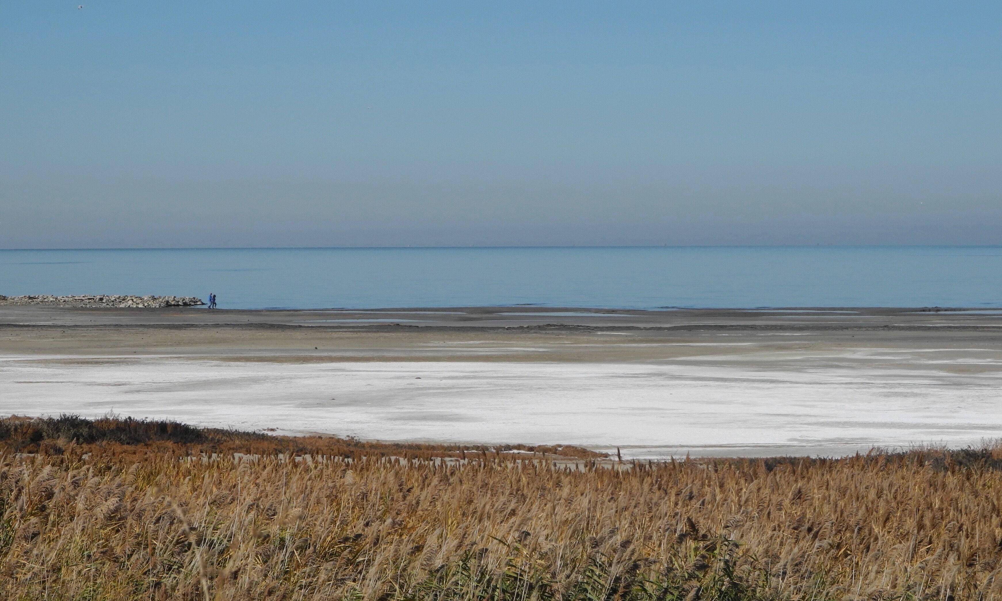 The Great Salt Lake, located in the northern part of the U.S. state of Utah, is the largest salt water lake in the Western Hemisphere, and the eighth-largest terminal lake in the world. In an average year the lake covers an area of around 1,700 square miles (4,400 km2), but the lake's size fluctuates substantially due to its shallowness. For instance, in 1963 it reached its lowest recorded size at 950 square miles (2,460 km²), but in 1988 the surface area was at the historic high of 3,300 square miles (8,500 km2). In terms of surface area, it is the largest lake in the United States that is not part of the Great Lakes region.

#Nature