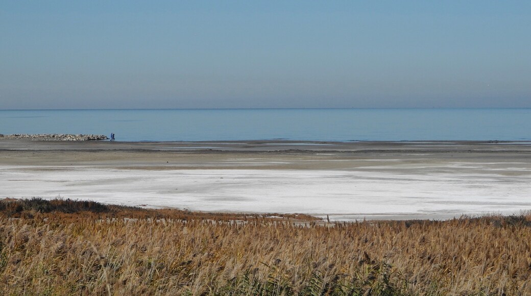 The Great Salt Lake, located in the northern part of the U.S. state of Utah, is the largest salt water lake in the Western Hemisphere, and the eighth-largest terminal lake in the world. In an average year the lake covers an area of around 1,700 square miles (4,400 km2), but the lake's size fluctuates substantially due to its shallowness. For instance, in 1963 it reached its lowest recorded size at 950 square miles (2,460 km²), but in 1988 the surface area was at the historic high of 3,300 square miles (8,500 km2). In terms of surface area, it is the largest lake in the United States that is not part of the Great Lakes region.
#Nature