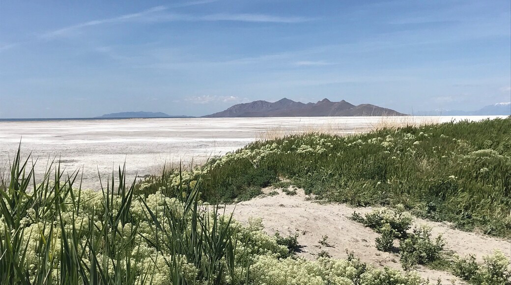 The Great Salt Lake near Tooele, Utah