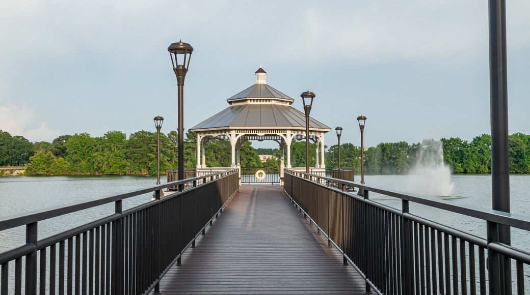 Lake Wright showing a lake or waterhole
