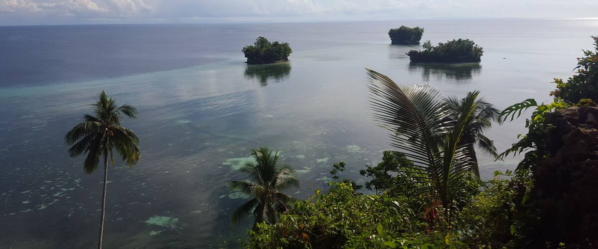 A tropical island surrounded by clear blue waters, palm trees, and a partly cloudy sky.