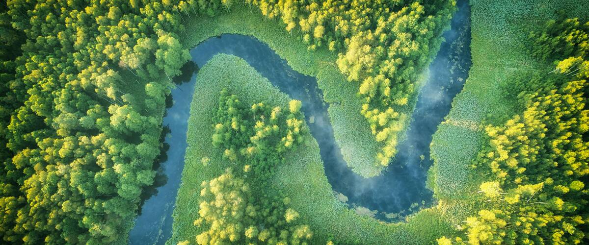 Wild river landscape from the drone