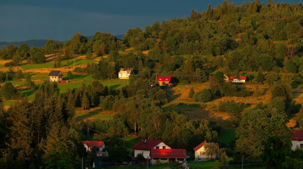 laliki Silesian Voivodeship, Żywiec County. poland