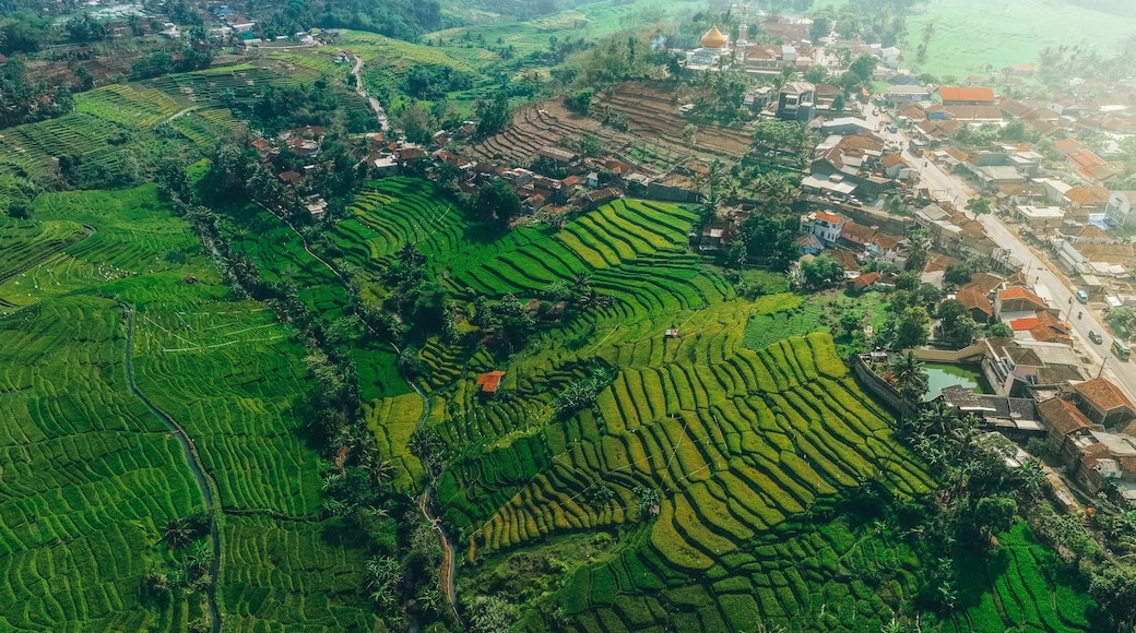 The Tropical Landscape with The View of Hills & Mountains