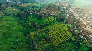 Terraced rice fields, a village with traditional houses, and a prominent temple with a golden dome.